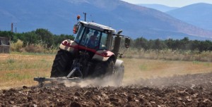 ΟΠΕΚΕΠΕ: Στη φυλακή ο «εγκέφαλος» του κυκλώματος με τις παράνομες ευρωπαϊκές επιδοτήσεις – «Παραδέχομαι ό,τι έχω κάνει…»