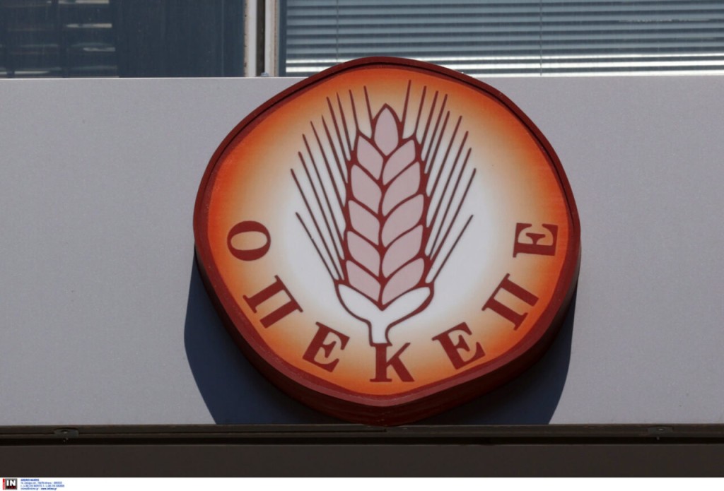 «Σαφάρι» του ελληνικού FBI για το κύκλωμα ΟΠΕΚΕΠΕ: 39 συλλήψεις – Πάνω από 7 εκατ. ευρώ το παράνομο όφελος