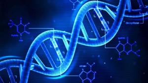 Ίχνη ανθρώπινου DNA βρέθηκαν σε μετεωρίτη 2 δισεκατομμυρίων ετών στον πλανήτη Άρη