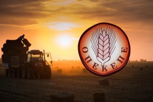 ΟΠΕΚΕΠΕ: Καταθέσεις-«φωτιά» στην Εξεταστική κατά της Π.Τυχεροπούλου «δεξιού χεριού» της Λ.Κοβέσι