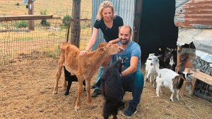 ΟΠΕΚΕΠΕ: Σεμερτζίδου-Μαγειρία συνέχιζαν να λαμβάνουν επιδοτήσεις παρά το γεγονός ότι ελεγχόντουσαν από το 2019