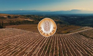«Να γ@μ@θ@ι ο υπουργός και όλοι»: Νέοι διάλογοι για τον ΟΠΕΚΕΠΕ