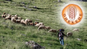 Νέες καταγγελίες για το «πάρτι» του ΟΠΕΚΕΠΕ - Επιδοτήσεις με σφραγίδα νεκρού κοινοτάρχη