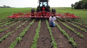 Δεν τελειώσαν όλα με τον ΟΠΕΚΕΠΕ: Έρχεται σκάνδαλο και με τον ΕΛΓΟ